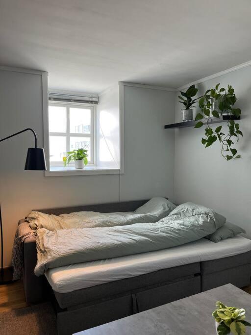 Cozy Ground Floor Apartment Тромсе Екстер'єр фото