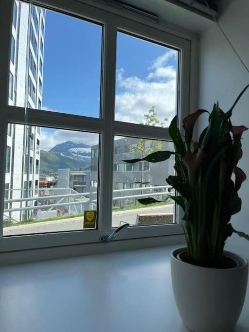 Cozy Ground Floor Apartment Тромсе Екстер'єр фото