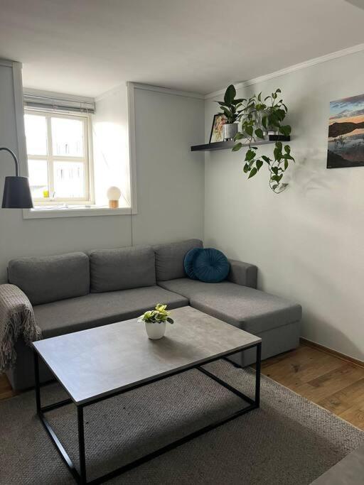 Cozy Ground Floor Apartment Тромсе Екстер'єр фото